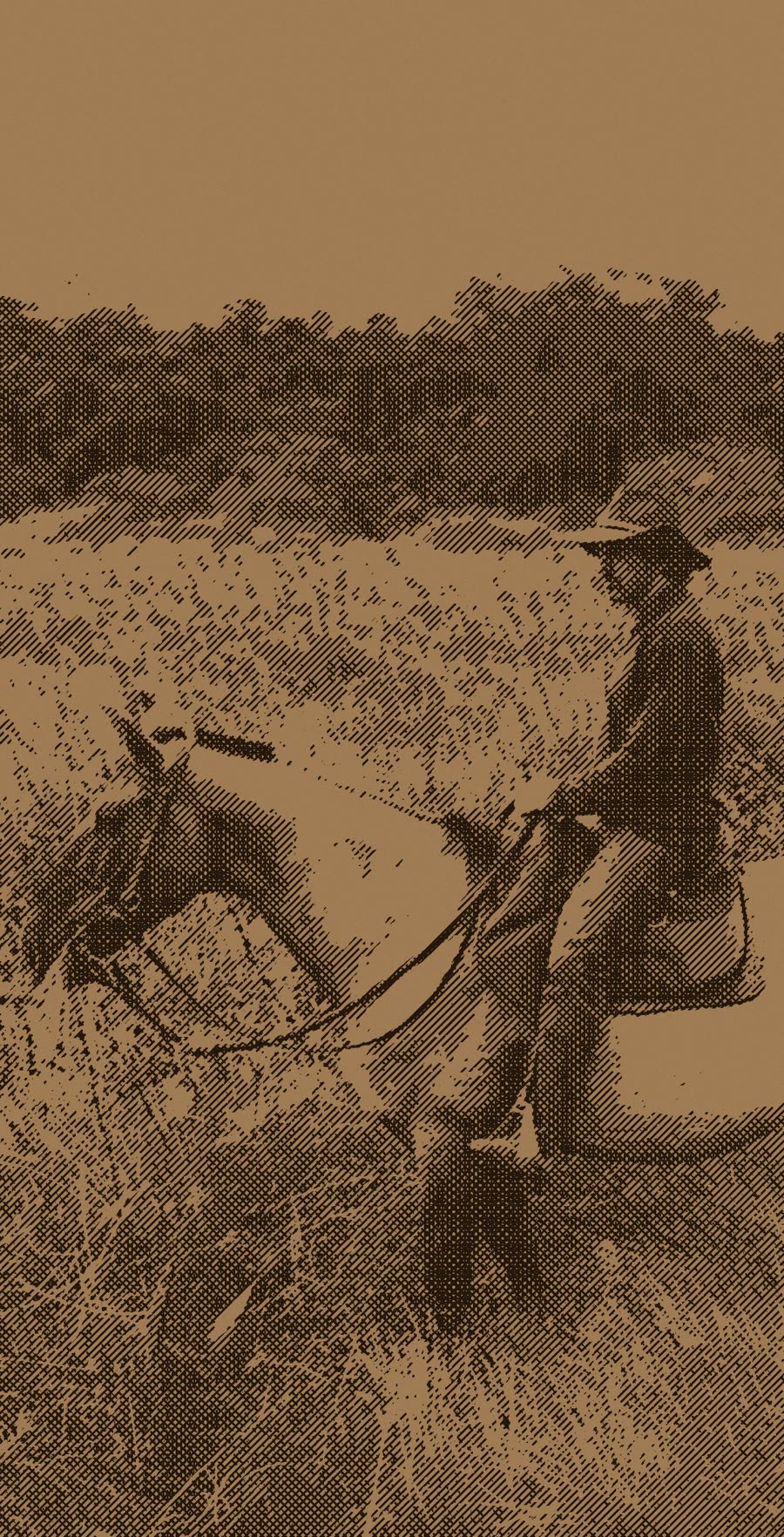 Silvio Liberato montado a cavalo no campo da Fazenda Indiana — gravura